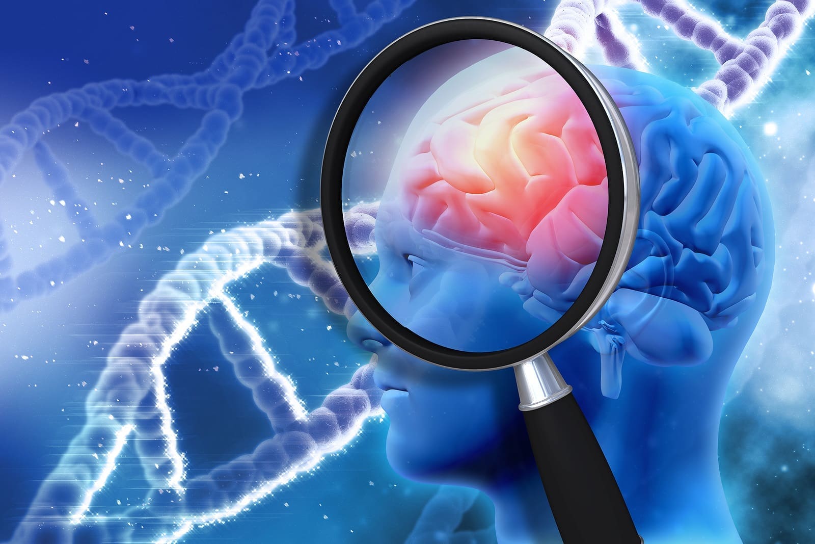 Brain autism research in Sacramento